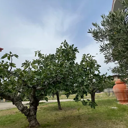 Mare&natura Apartment Botricello